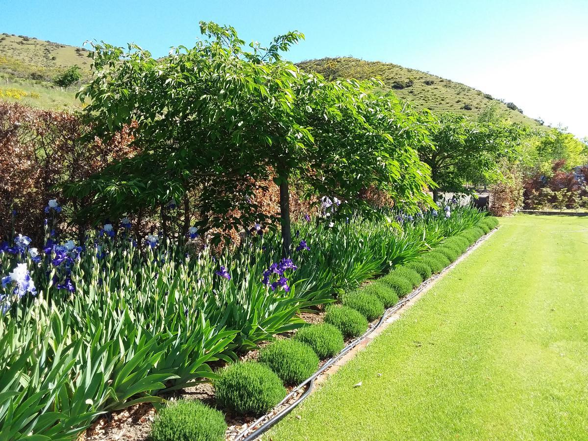 Hurunui Homestead Bed And Breakfast Hawarden Exteriér fotografie